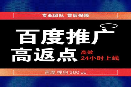 搜索引擎营销（SEM）成功运营的五大案例